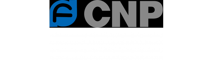 История основания и развития CNP