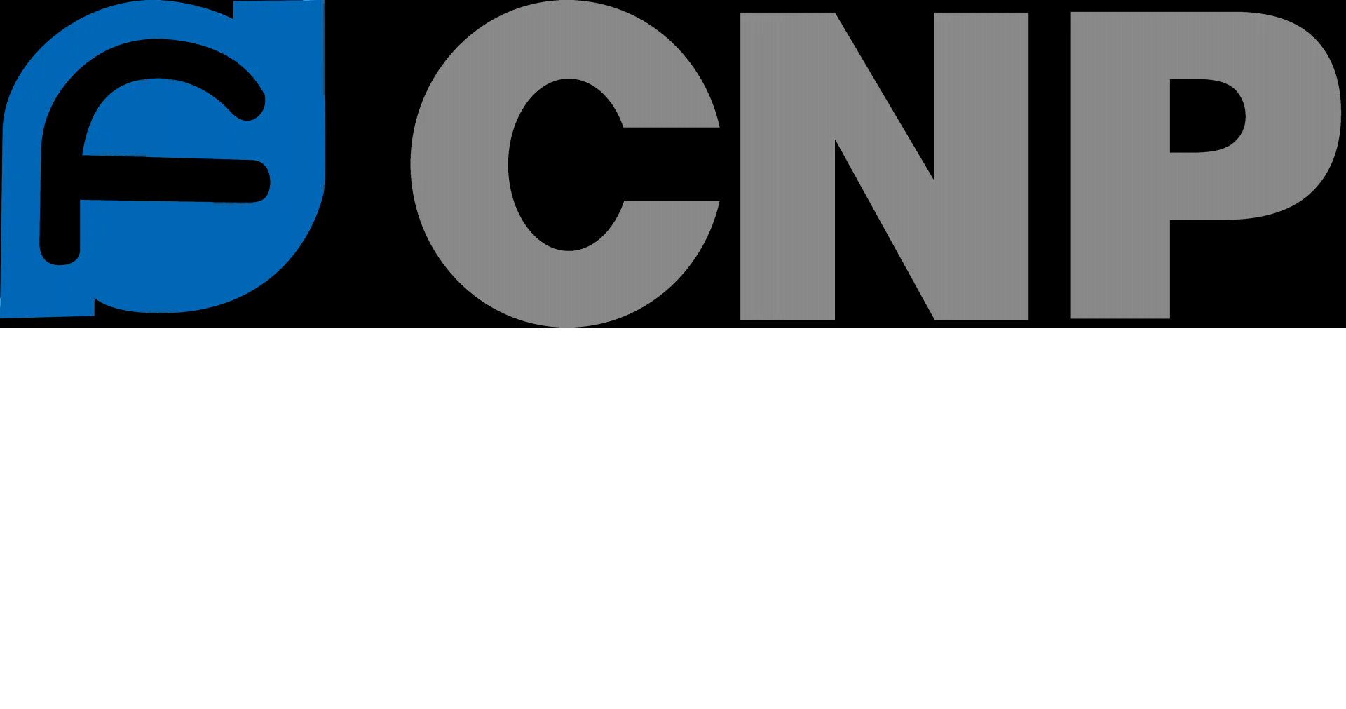 История основания и развития CNP